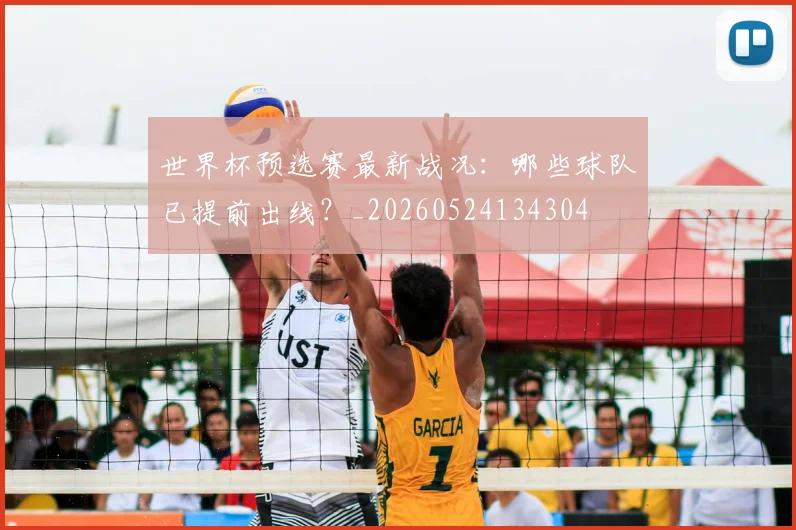 世界杯预选赛最新战况:哪些球队已提前出线?_20260524134304